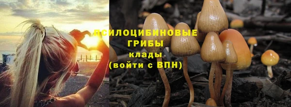 дурь Наволоки