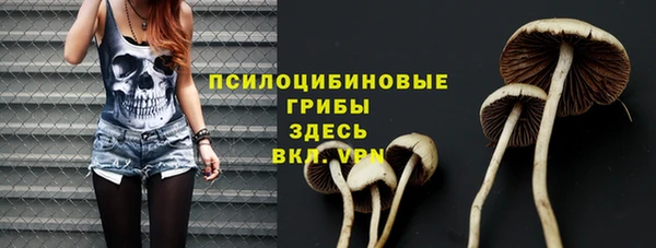 mdpv Михайлов