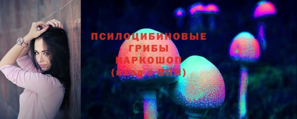 соль ск Навашино