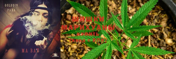 mdpv Михайлов
