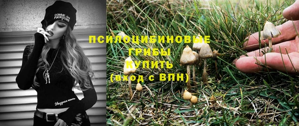 mdpv Михайлов