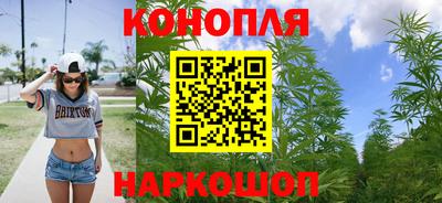 спиды Гатчина