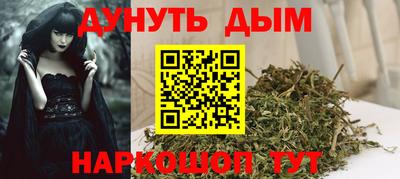 спиды Гатчина