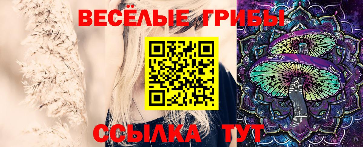 Канск  Псилоцибиновые грибы MAGIC MUSHROOMS  Вход с VPN 