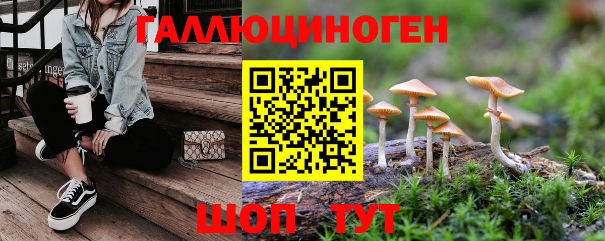 Галлюциногенные грибы Psilocybe Канск